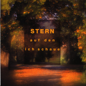 收聽Various Artists的Herr, Weil Mich Festhält歌詞歌曲