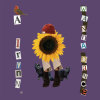 default album img