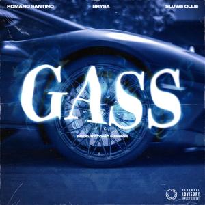 Romano Santino的專輯Gass