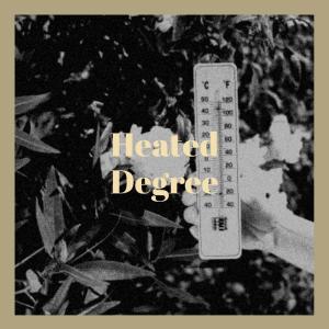 Album Heated Degree from Various