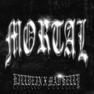 ดาวน์โหลดและฟังเพลง MORTAL (feat. Mad Kelly) (Explicit) พร้อมเนื้อเพลงจาก Killvein