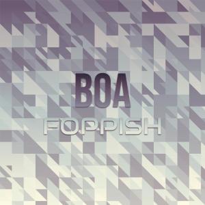 ดาวน์โหลดและฟังเพลง Boa Foppish พร้อมเนื้อเพลงจาก Mala Sivi