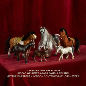London Contemporary Orchestra的專輯The Rider (Not The Horse) (Robag Wruhme's Arada Samoll Rehand)