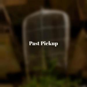Listen to Salutary Past song with lyrics from Mian Torger
