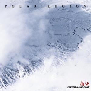 Album POLAR REGION极地 from COEXIST & VOID