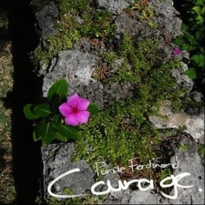 收聽Purple Ferdinand的Courage歌詞歌曲