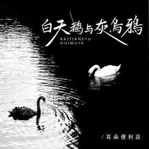ดาวน์โหลดและฟังเพลง 白天鹅与灰乌鸦 พร้อมเนื้อเพลงจาก 耳朵便利店
