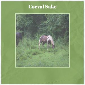 ดาวน์โหลดและฟังเพลง Coeval Sake พร้อมเนื้อเพลงจาก Damiao Wast