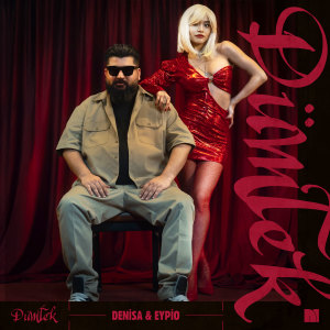 Album DÜMTEK from Denisa