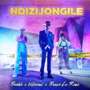 Album Ndizijongile oleh Boohle