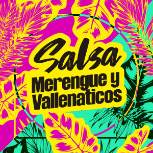 Various Artists的專輯Salsa, Merengue y Vallenaticos