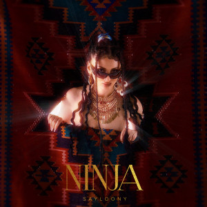 Album Ninja (Explicit) from Sayloony