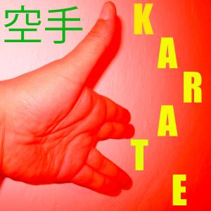 收听Kendo的Musica per il Karate Vol. 9歌词歌曲