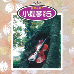 演奏曲的专辑休闲音乐 小提琴演奏5