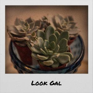 Listen to Look Gal song with lyrics from Berline Mihar