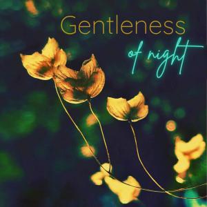 Justin Byrne的專輯Gentleness of Night