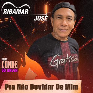 Album Pra Não Duvidar De Mim from Ribamar José