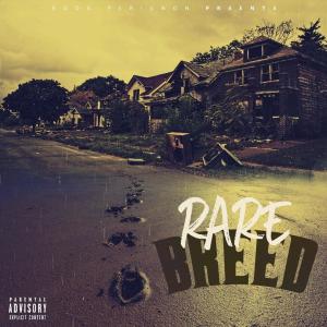 ดาวน์โหลดและฟังเพลง Game Over (feat. Mac) (Explicit) พร้อมเนื้อเพลงจาก Boog Perignon