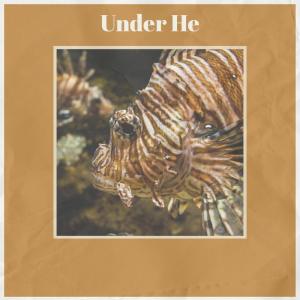 Listen to Scumbag Untraceable song with lyrics from Gerare Mion