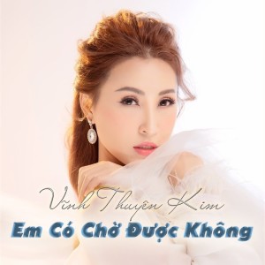 Nguyen Dinh Vu的專輯Em Có Chờ Được Không
