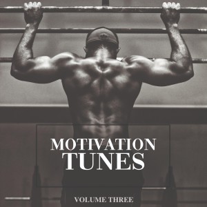 Listen to Police (Tribal Mix) song with lyrics from The Renroc
