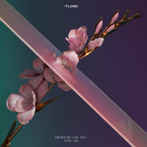 收听Flume的Never Be Like You (Explicit)歌词歌曲