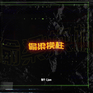 Album 偷梁换柱 from 