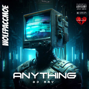 อัลบัม Anything ศิลปิน DJ Ray