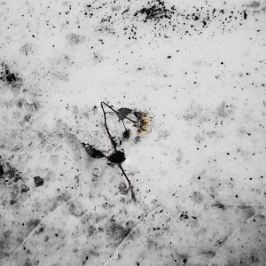 Listen to UNDO / REDO (Piano Version) song with lyrics from WOLFKID