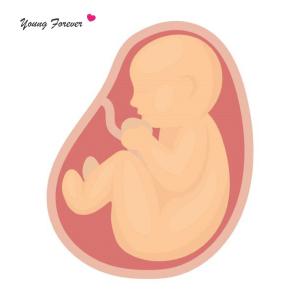 Album Young Forever from 