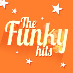收聽Funky Hits的Funky Town (其他)歌詞歌曲