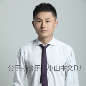 Album 分手就分手-流行伤感中文DJ from 小山