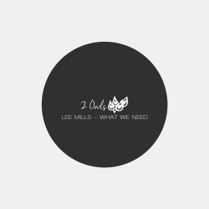 Listen to What We Need (Original Mix) song with lyrics from Lee Mills