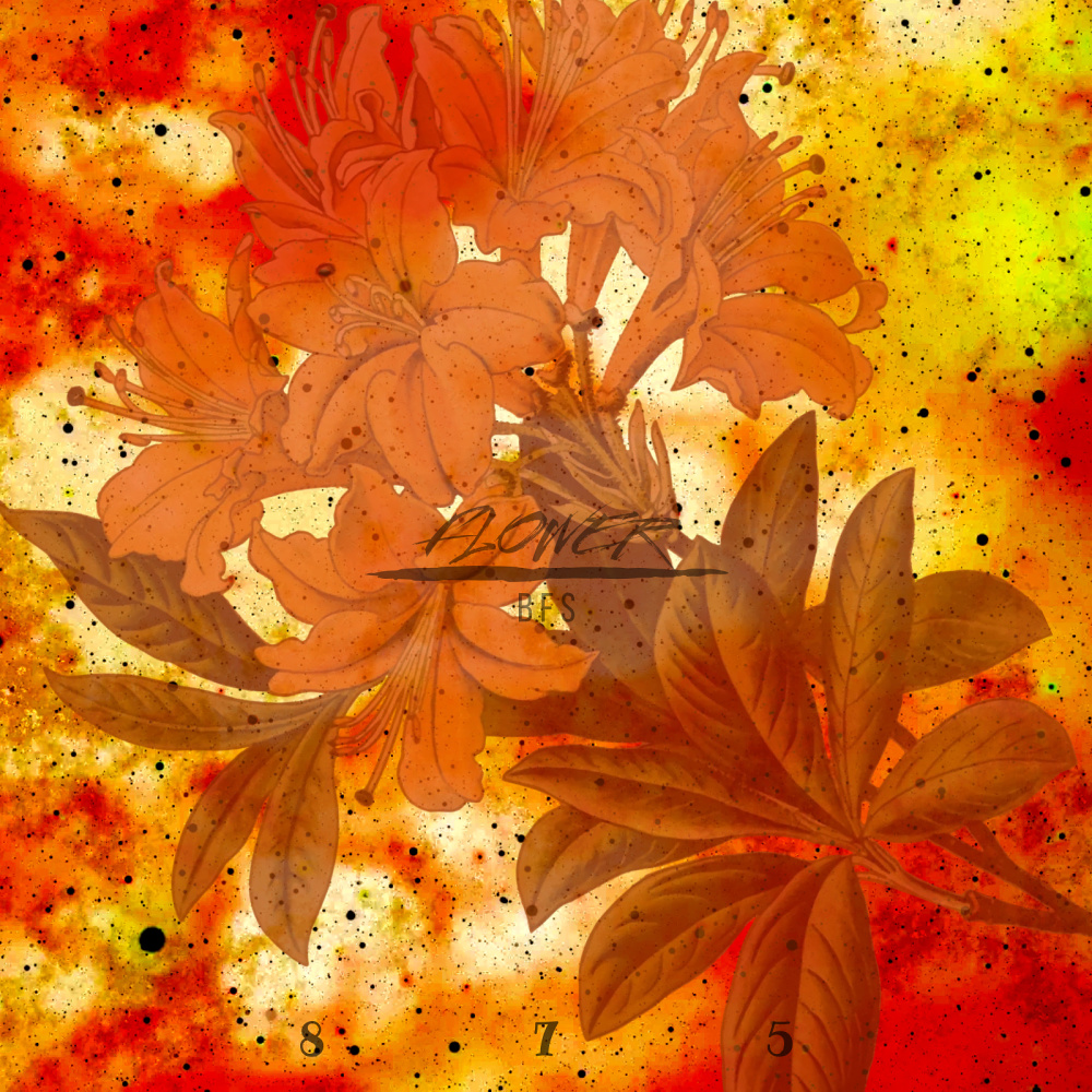 Flower (Explicit)