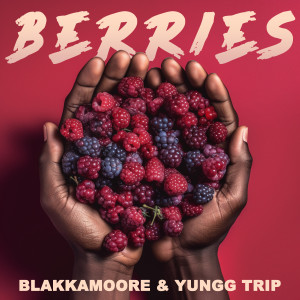 Yungg Trip的專輯Berries