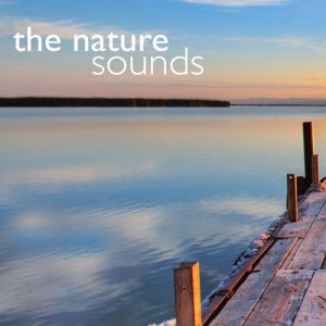 ดาวน์โหลดและฟังเพลง Woodland Life พร้อมเนื้อเพลงจาก Nature Sounds Nature Music