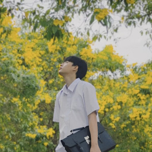 Listen to ตกลงเราเป็นอะไรกัน song with lyrics from Flukie