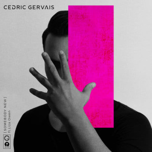 收聽Cedric Gervais的Somebody New歌詞歌曲