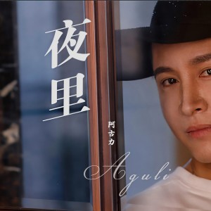 Dengarkan lagu 夜里 nyanyian 阿古力 dengan lirik