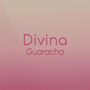 Various的专辑Divina Guaracha