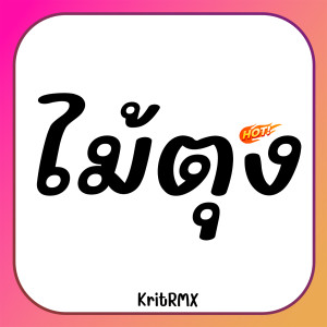 收聽KritRMX的ไม้ตุง歌詞歌曲