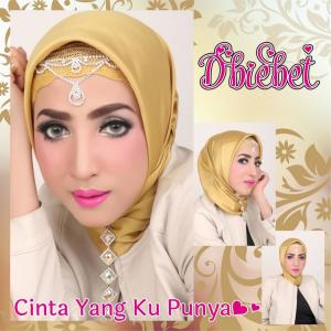 Dengarkan lagu Anugrah Cinta nyanyian Dbiebet dengan lirik