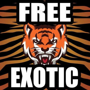 ดาวน์โหลดและฟังเพลง Free Exotic (Joe Savage Exotic Vs Carole Baskin Parody from "Tiger King") (Explicit) พร้อมเนื้อเพลงจาก Billy Joe Bartlette