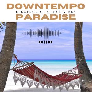 Album Downtempo Paradise, Vol. 2 (Electronic Lounge Vibes) from Various