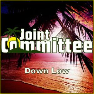 收聽Joint Committee的Down Low歌詞歌曲
