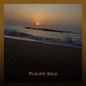 Album Placate Each oleh Various