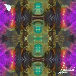 Listen to Hopped In song with lyrics from Lykwid