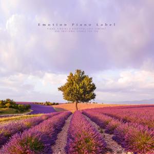 Album Music trip with beautiful melody (Sensibility New Age) from 