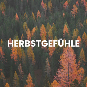Various的專輯Herbstgefühle (Explicit)