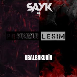 Listen to Peşimde Leşim (Sayk Remix) song with lyrics from Sayk